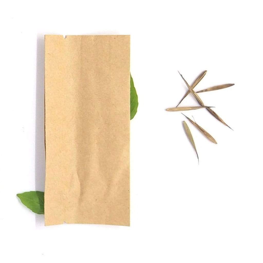 Brushboo 20 moso bamboo seeds - Plant your own bamboo at home