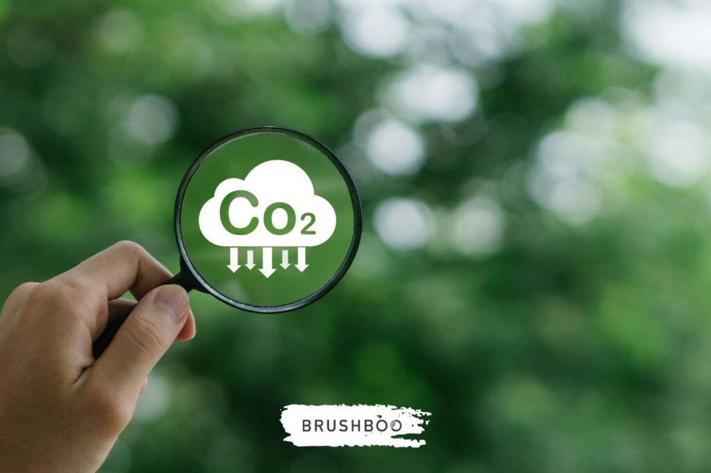 Día Mundial de la Acción frente al Calentamiento Terrestre