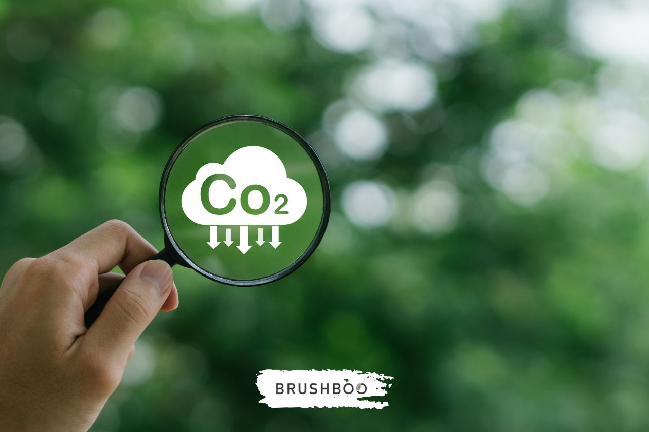 Día Mundial de la Acción frente al Calentamiento Terrestre