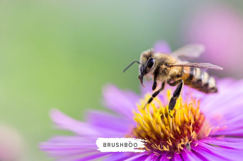 Día Mundial de las Abejas