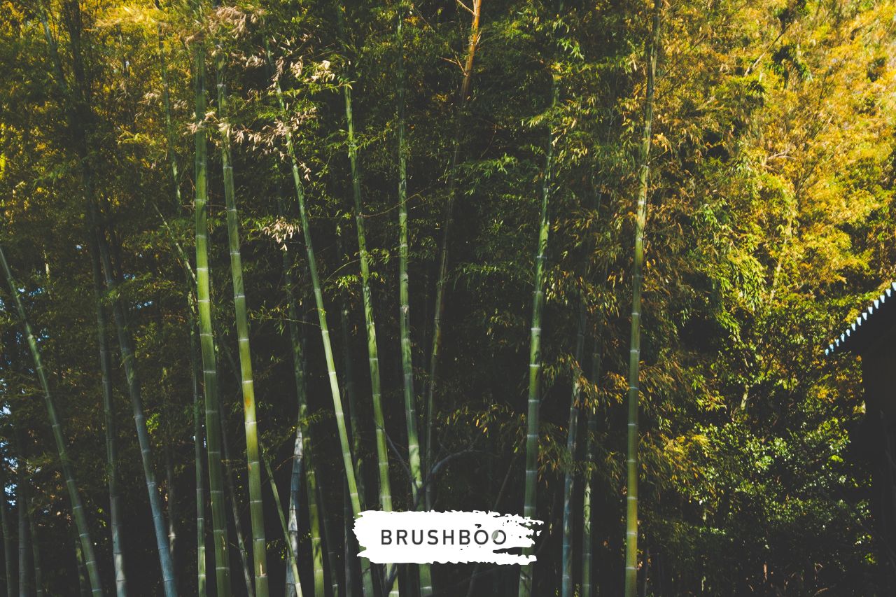 Bambú, la alternativa ecológica a materiales contaminantes